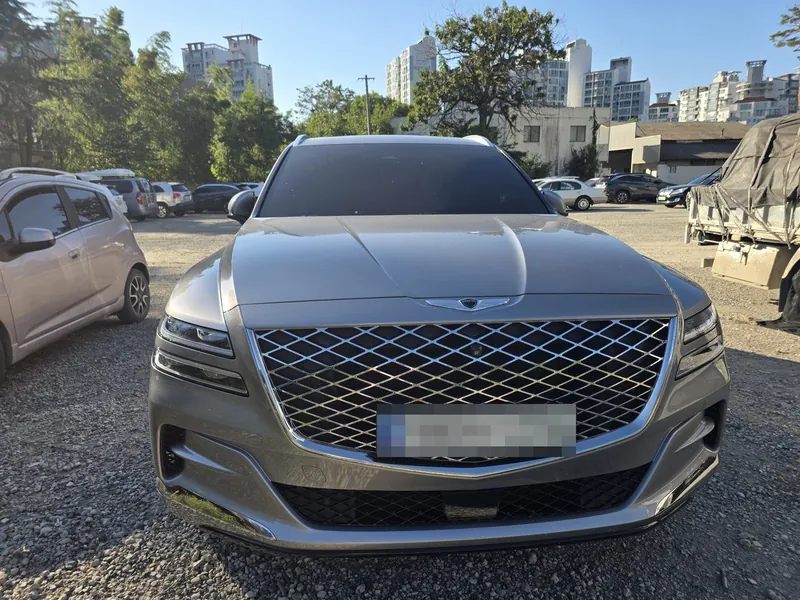 GV80 세차 전